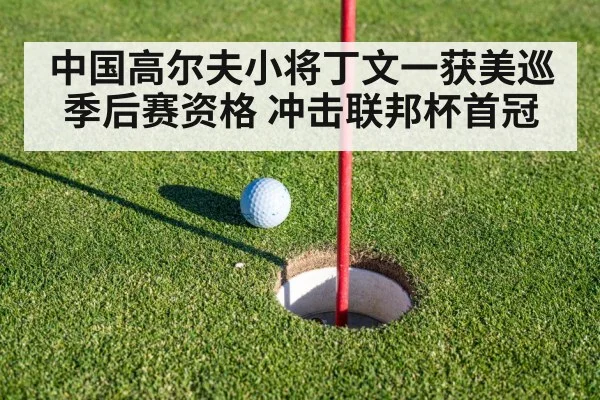 中国高尔夫小将丁文一获美巡季后赛资格 冲击联邦杯首冠
