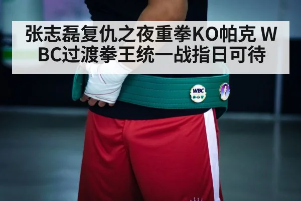 boxing championship belt